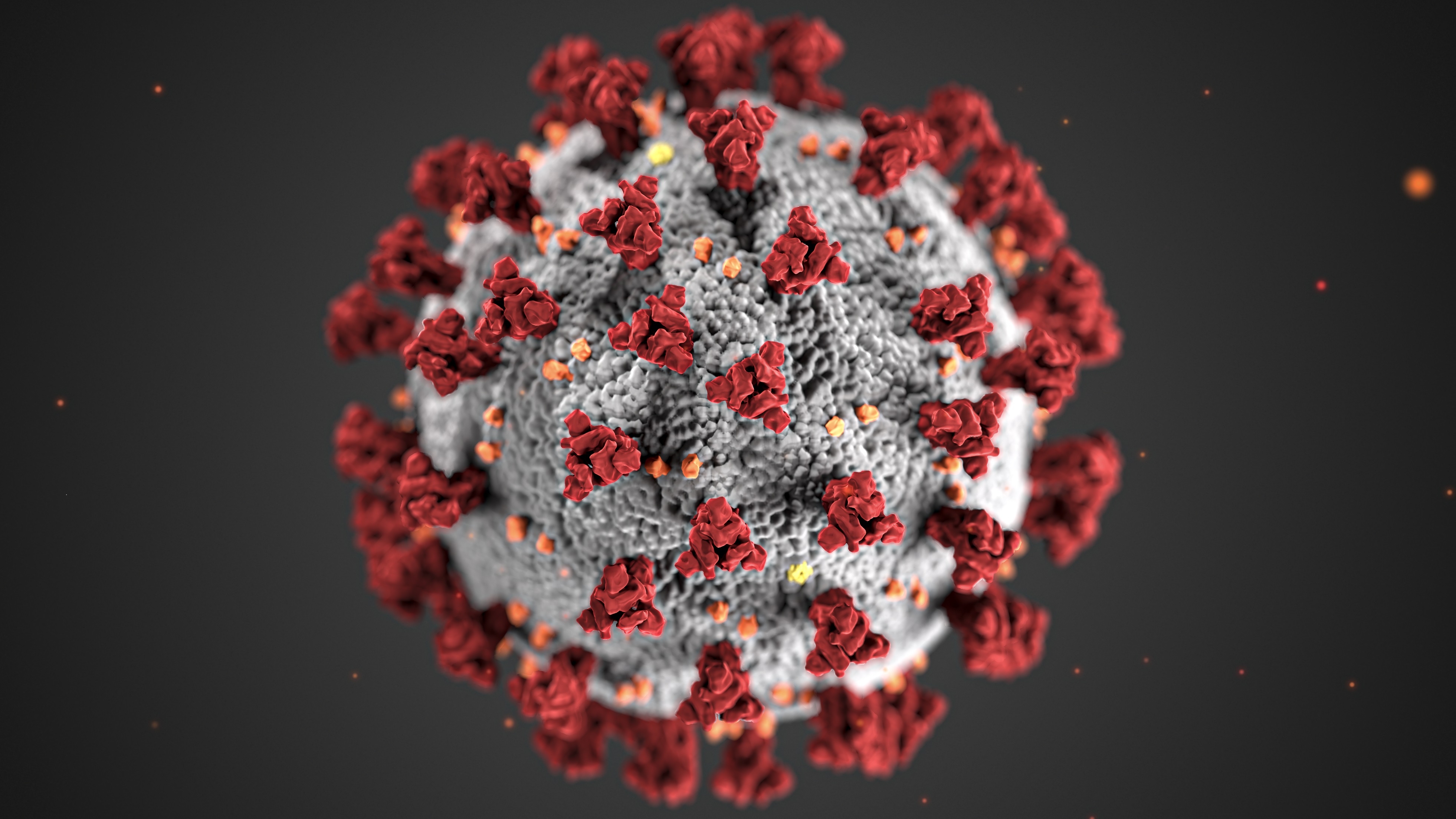 Coronavirus Informations en langue facile à lire